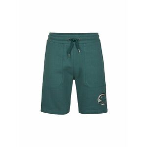 O'NEILL Pantaloni sport verde smarald / roșu pastel / negru / alb imagine