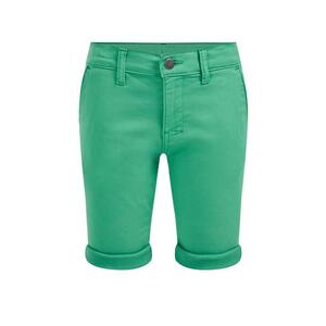 WE Fashion Pantaloni verde iarbă imagine