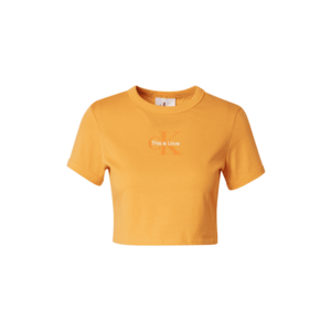 Calvin Klein Jeans Tricou 'PRIDE' portocaliu / portocaliu deschis / alb imagine