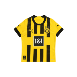 PUMA Tricou funcțional 'Borussia Dortmund 22/23' galben / gri metalic / negru / alb imagine
