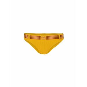 O'NEILL Slip costum de baie 'Sassy Cruz' galben auriu / auriu / roșu merlot imagine