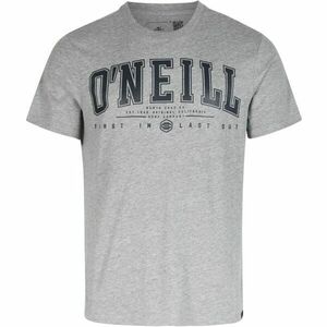 O'Neill STATE MUIR T-SHIRT Tricou bărbați, gri, mărime imagine