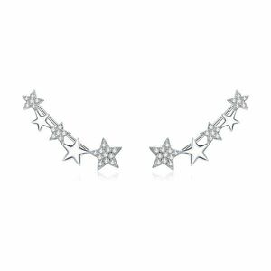 Cercei din argint Shiny Stud Star imagine