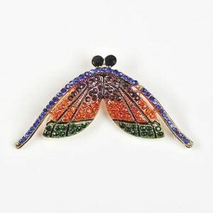 Brosa insecta cu pietre multicolore imagine