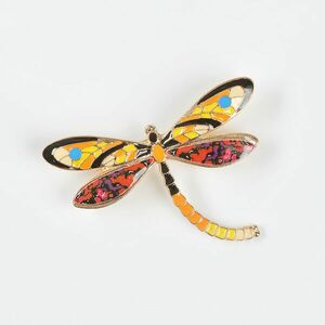 Brosa libelula multicolora imagine