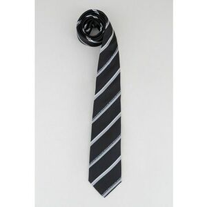 Cravata cu model in dungi imagine