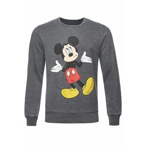Bluza de trening Disney Mickey 3373 imagine
