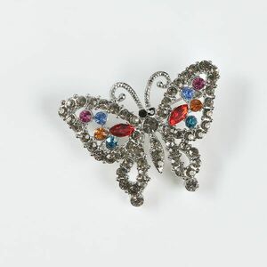 Brosa de dama fluture argintiu imagine