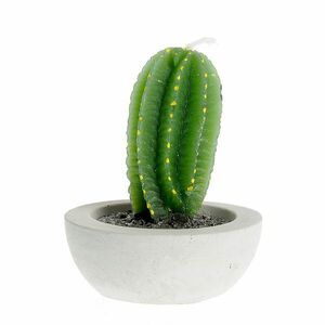 Lumanare forma cactus imagine