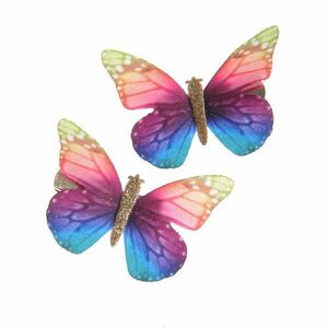 Agrafe par fluturi multicolori imagine