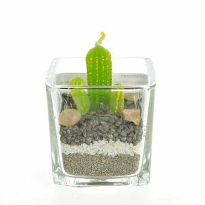 Lumanare cactus in pahar imagine