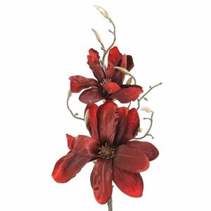 Magnolie rosie 86 cm imagine
