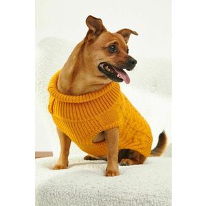 Medicine pulover pentru un animal de companie imagine