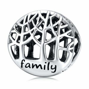 Talisman din argint Family Loves Me imagine