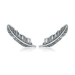 Cercei din argint Retro Feather Studs imagine