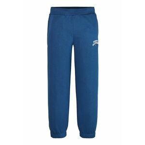 Pantaloni de trening cu detaliu logo imagine