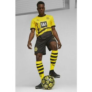 Tricou cu dryCELL si decolteu la baza gatului - pentru fotbal Borussia Dortmund imagine