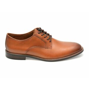 Pantofi ALDO maro, HANFORDD220, din piele naturala imagine