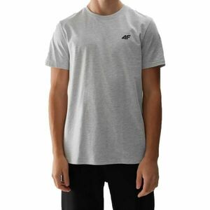 4F T-SHIRT Tricou pentru bărbați, gri, mărime imagine