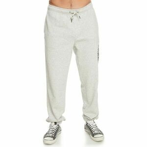 Quiksilver GRAPHIC PANT Pantaloni de trening pentru bărbați, gri, mărime imagine
