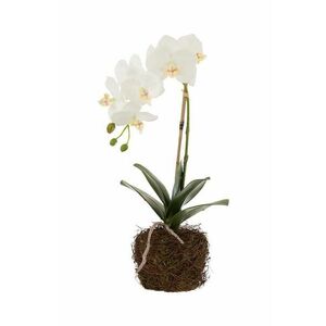 J-Line planta artificiala Orchid In Soil imagine