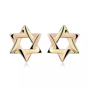 Cercei din aur combinat de 14K - Steaua lui David bicoloră, știfturi imagine