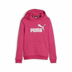 Puma Logo Hoodie imagine