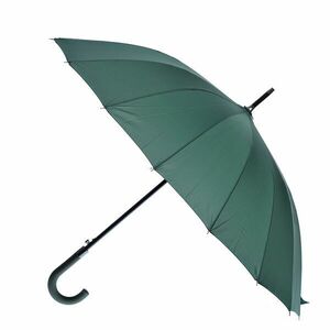 Umbrela verde imagine