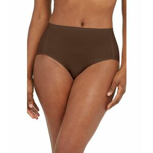 Imbracaminte Femei Spanx Fit-to-You Briefs Chestnut Brown imagine