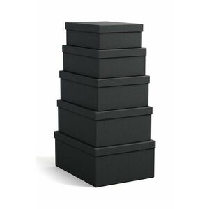 Bigso Box of Sweden set de cutii de depozitare Joel 5-pack imagine