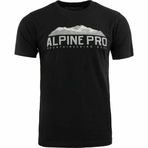 Alpine Pro imagine