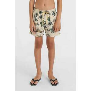 Pantaloni scurti de baie cu imprimeu tropical Cali imagine