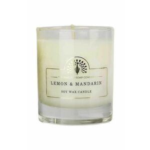 The English Soap Company lumanare parfumata de soia Lemon& Mandarin 170 ml imagine