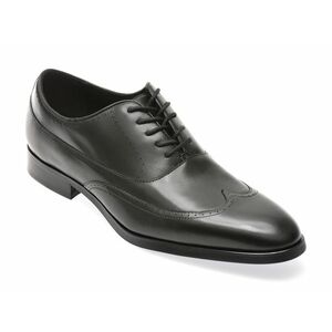 Pantofi eleganti ALDO negri, 13749856, din piele naturala imagine