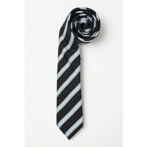Cravata cu dungi imagine