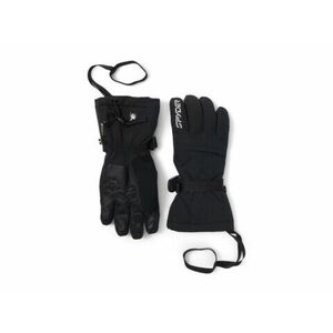 Accesorii Femei Spyder Synthesis GORE-TEXreg Gloves Black imagine