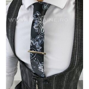 Cravata barbati B5554 imagine