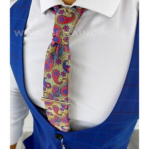 Cravata barbati B5573 imagine