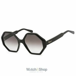 Ochelari de soare dama SALVATORE FERRAGAMO SF1070S-001 imagine