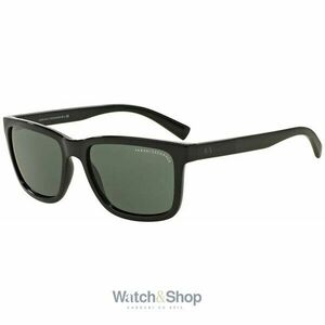 Ochelari de soare barbati Armani Exchange AX4045S817871 imagine