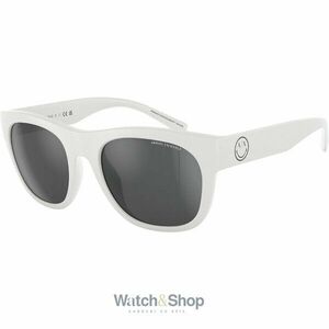 Ochelari de soare barbati Armani Exchange AX4128SU81566 imagine