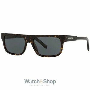 Ochelari de soare barbati ARNETTE AN4278-120187 imagine