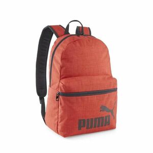 Ghiozdan Puma Phase Backpack III imagine