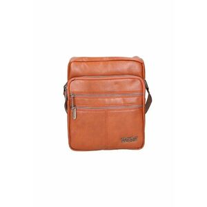 Geanta crossbody de piele ecologica imagine