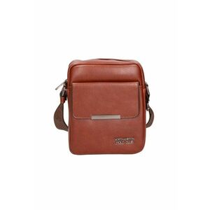 Geanta crossbody de piele ecologica 24579 imagine