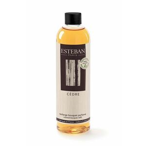 Esteban complement la difuzor 250 ml imagine