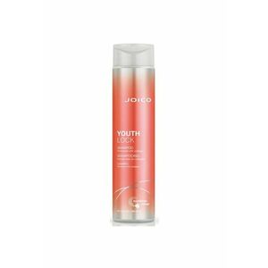 Sampon Youthlock cu colagen pentru par matur - Joico - 300 ml imagine