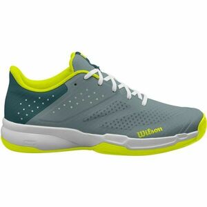 Wilson KAOS STROKE 2.0 Încălțăminte de tenis bărbați, gri, mărime 46 2/3 imagine