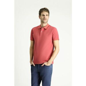 Tricou polo slim fit imagine