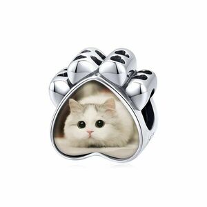 Talisman din argint Custom Photo Paw Charm imagine